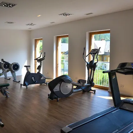 Cozy In With Swimming Pool Apartment Obertraun